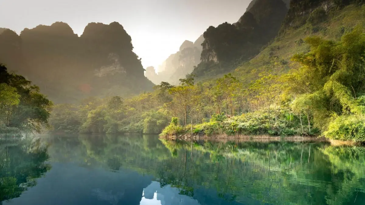 节能全自动可靠性